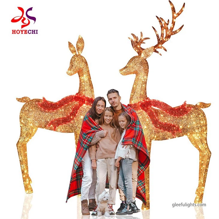 China Manufacturer Outdoor Christmas Lighted Led Reindeer 3d Motif